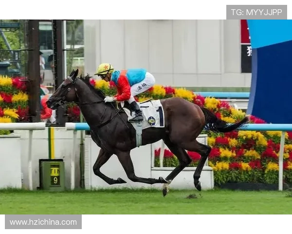 hkjc网娱乐:香港赛马会在线娱乐平台常见问题解答与客服支持服务指南