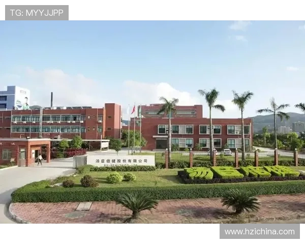 新濠国际发展有限公司官网全面介绍企业最新动态与发展战略，助力投资者把握行业机遇